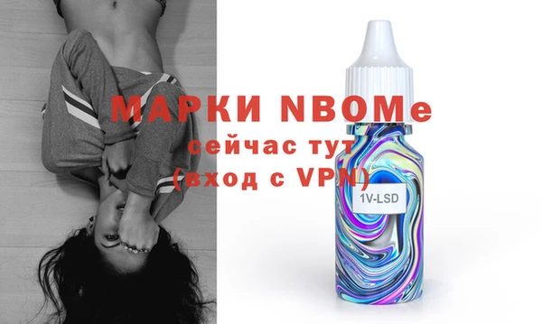 дурь Няндома