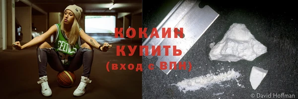 дурь Няндома