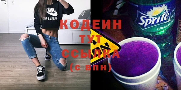 дурь Няндома