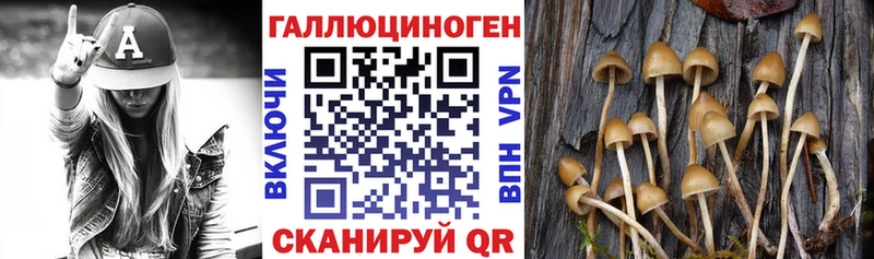 дарнет шоп  Алупка  Псилоцибиновые грибы Magic Shrooms 